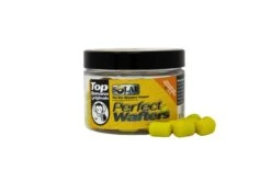 Viswinkel 10 Viswinkel -Viswinkel 1a039f9a633b7054