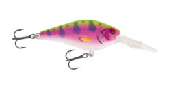 Jackson Barschwobbler Rainbow Trout 6cm (9g)