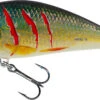Salmo Fatso 10cm 48g Floating 0,8-1,2m Limited Edition Real Roach