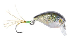 Balzer UV Confidential Baby Cran Rainbowtrout