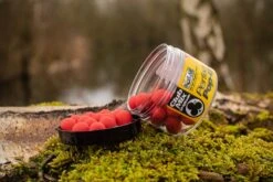 Solar Pop-Ups 14mm Club Mix